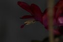 737A2717 null