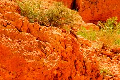 roselin_githagine_01-2 null