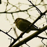 non_identifie_03-2 null
