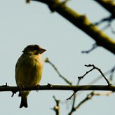 non_identifie_05-2 null