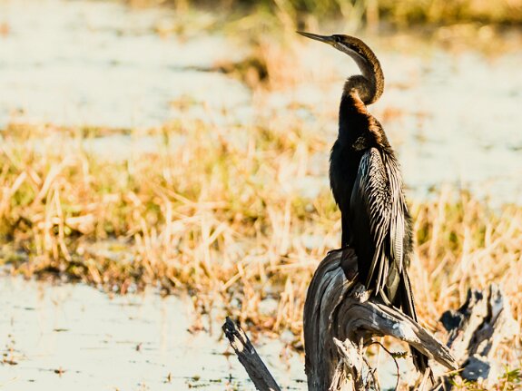 Botswana