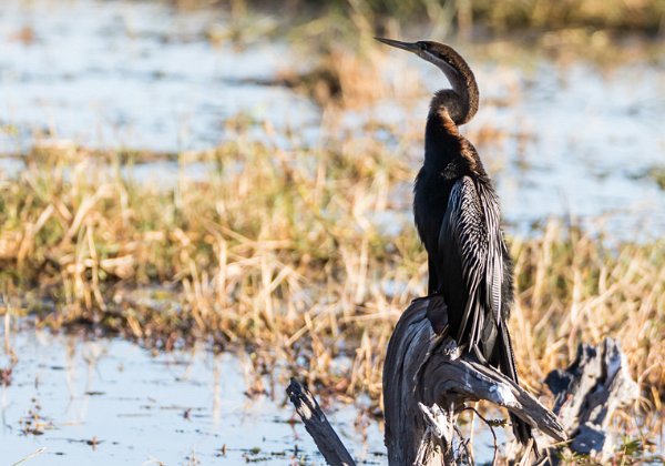 Botswana