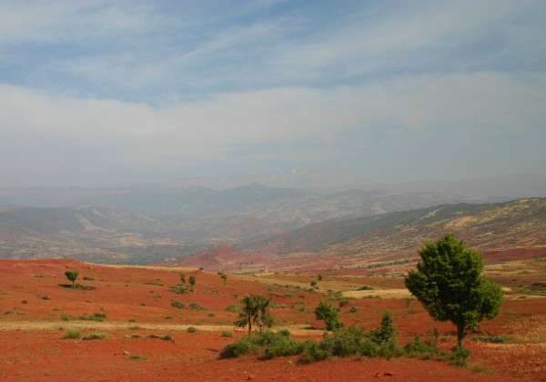 Sur la piste des dinosaures