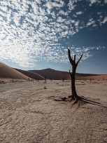 Dead vlei - Sossusvlei