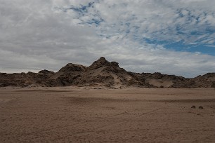 Namib desert Homeb