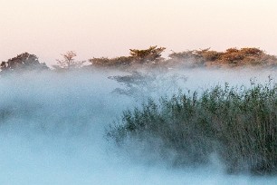 Brume matinale sur l'Okavango Namibie - Caprivi