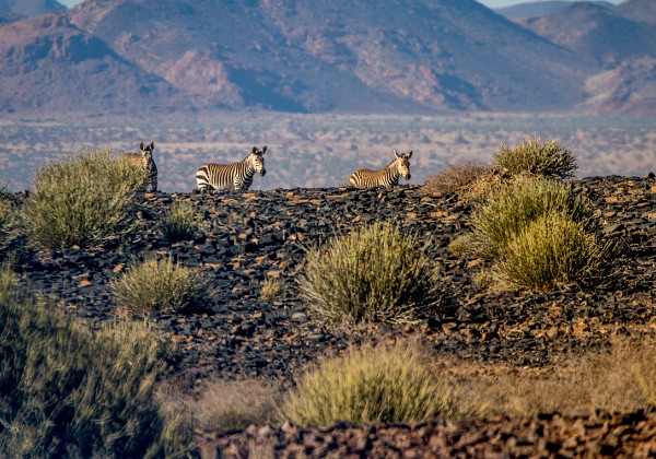 02 - Fish River Canyon