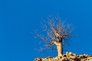 Canyon Sesriem et Namib