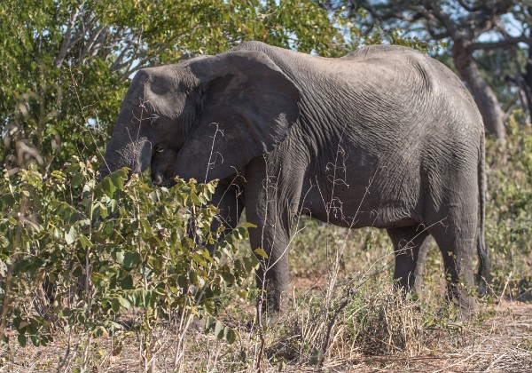 Botswana