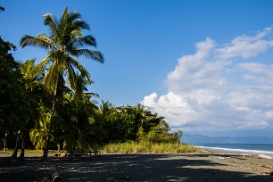 20231208-1515-7D2_5073 Golfo Dulce - Costa Rica