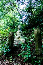 20251105_112603_7396 null