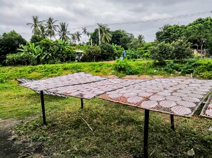 20251106_092825_IMG null