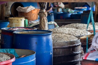 20251106_114747_7496 null