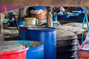 20251106_114812_7497 null