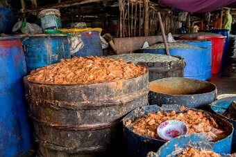 20251106_115224_7499 null