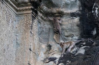 20251107_140726_7618 null