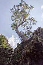 20251108_141629_7823 null