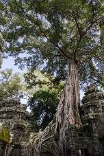 20251108_143325_7847 null