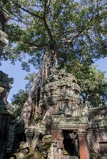 20251108_143550_7849 null