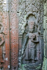 20251108_143629_7850 null