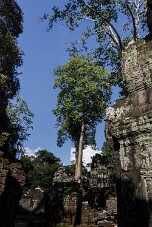 20251108_144423_7854 null