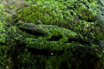 20251109_100259_7921 null