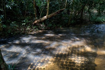 20251109_101129_7924 null