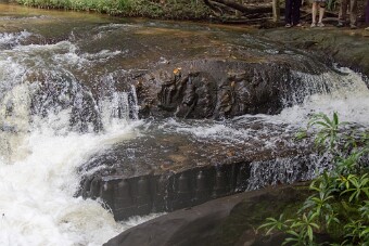 20251109_102025_7932 null