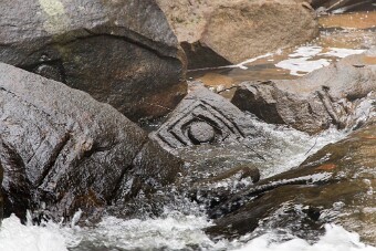 20251109_102334_7943 null