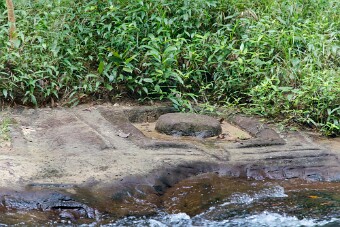 20251109_102341_7944 null