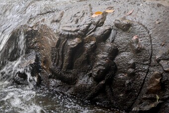 20251109_102420_7945 null