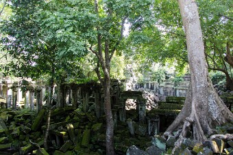 20251110_091523_8082 null