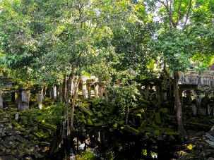 20251110_091705_IMG null