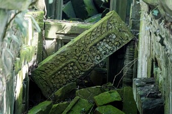 20251110_091844_8086 null