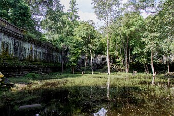 20251110_094043_8110 null