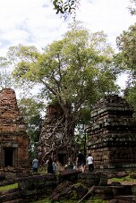 20251110_113554_8116 null