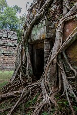 20251110_114213_8125 null