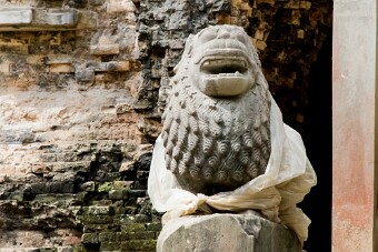 20251111_101947_8295 null