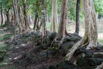 20251111_103236_8300 null