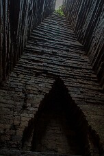 20251111_113047_8388 null