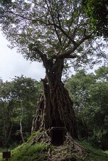 20251111_120449_8449 null