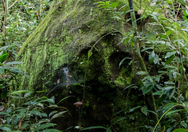 160 La rivière des mille lingas