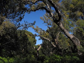 Doñana Espagne, Andalousie