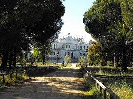 Doñana Espagne, Andalousie