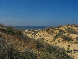 Doñana Espagne, Andalousie