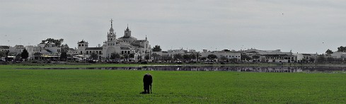 El Rocio Espagne, Andalousie