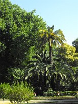 Séville, Parque Maria Luisa Espagne, Andalousie