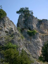 Cañon de Rio Lobos Espagne, Burgos