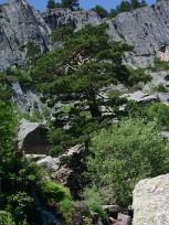 laguna Negra Espagne, Burgos