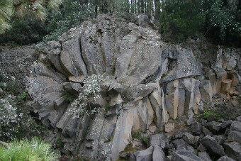 20100325173204_IMG_1153